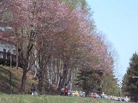 03年5月16日の気まぐれ旅日記